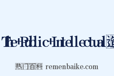 The+Public+Intellectual造句是什么意思的图片